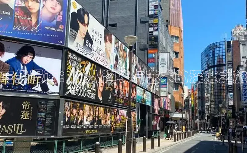 51动画网页版官网