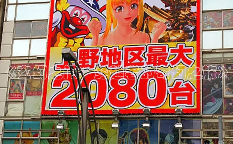 五一动画网页版