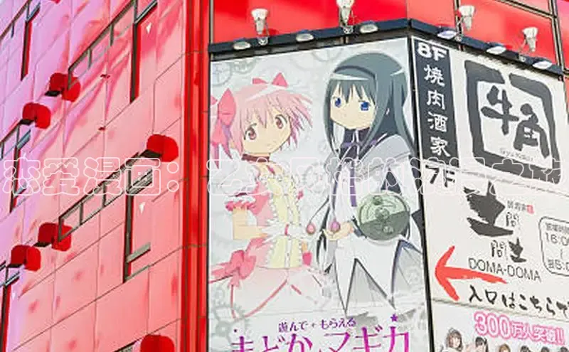 51动画网页版官网