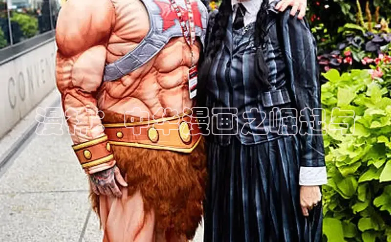 51动画网页版官网